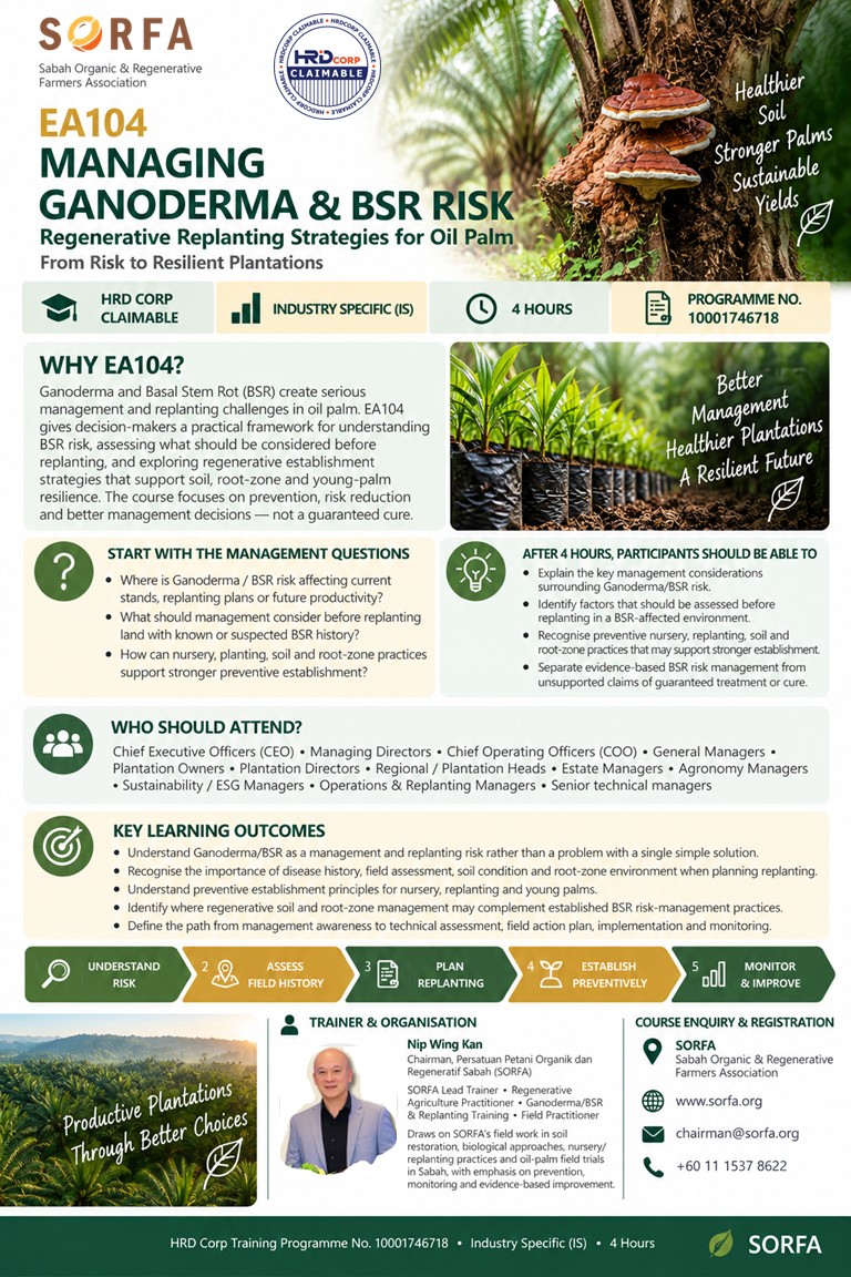 EA104 promotional course flyer